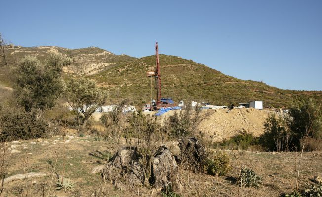 İzmir Seferihisar'da Köylüler Asırlık Zeytin Ağaçlarını Korumak İçin Dava Açtı