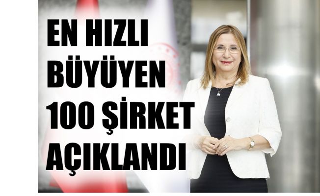Türkiye'nin En Hızlı Büyüyen 100 Şirketi Açıklandı