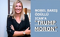 Nobel Barış Ödülü, müdürü Fihn'in  'Trump Moron' diyen ICAN'a verildi. Beatrice Fihn kimdir?