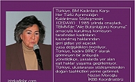 Nazan Moroğlu, "Türkiye, kadınlara karşı ayrımcılığı kaldıran CEDAW taahhüdüne uymalı"